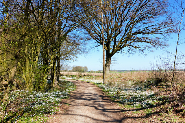 -feldweg-02642-co-09-04-17