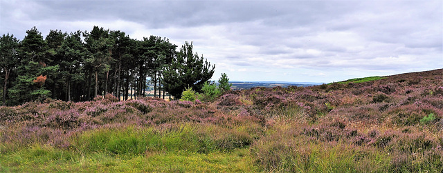 Scotland St. Cuthbert's Way (PiP) Scotland St. Cuthbert's Way (PiP)