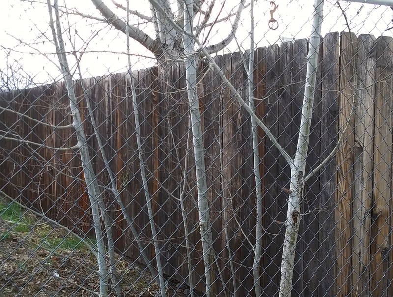 Fences with mystery hook