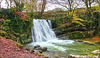 Janet's Foss