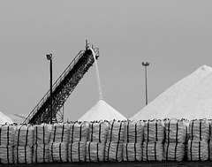 Salt Production (BW)