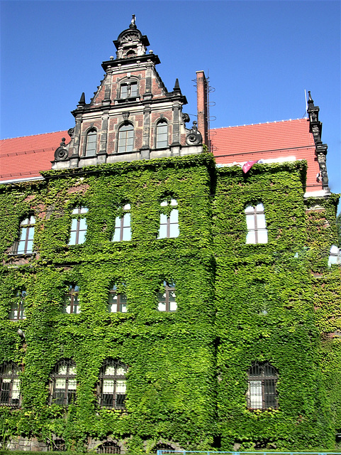 National-Museum Wrocław