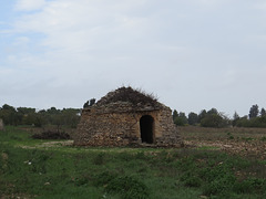 Les Murge : bergeries.