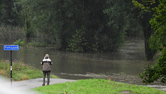 the parc is a pond