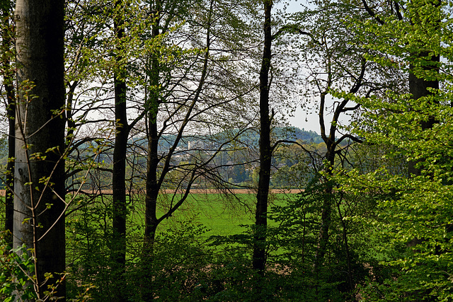 Kapellerbos ,Landgraaf_NL