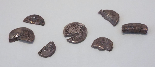 Seven Denarii from the Chao de Llamas Hoard in the Archaeological Museum of Madrid, October 2022