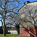 Baum mit Schatten voraus