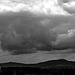 20250609_Wanderung Sorge - Benneckenstein