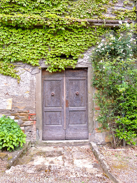Greve in Chianti, Tuscany, Door to the wine cellar of Savignola Paolina Winery - 052814-009