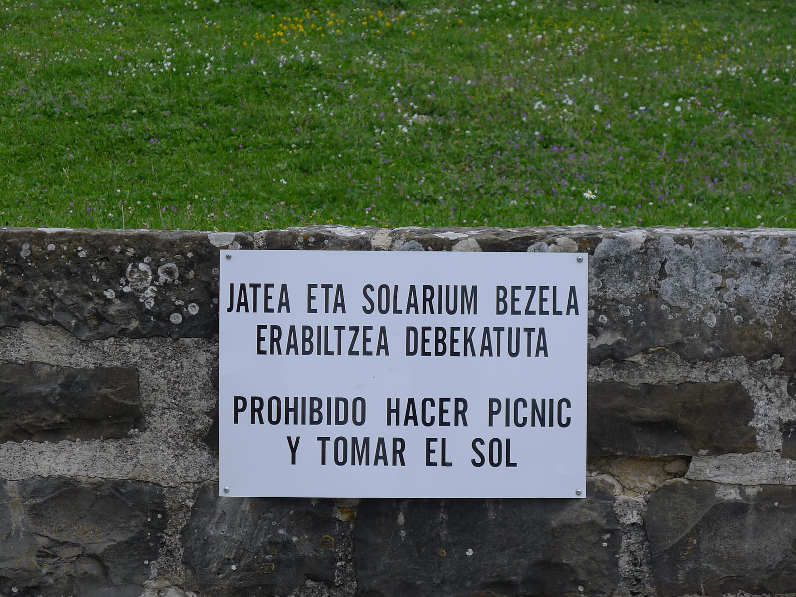 P1350539