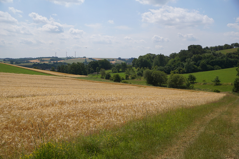 Blick nach Elbingerode