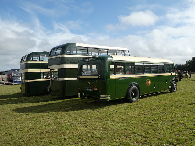 Preserved Todmorden JOC buses at Showbus - 29 Sep 2019 (P1040643