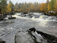 The River Affric