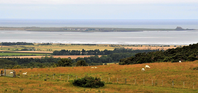 Scotland St. Cuthbert's Way