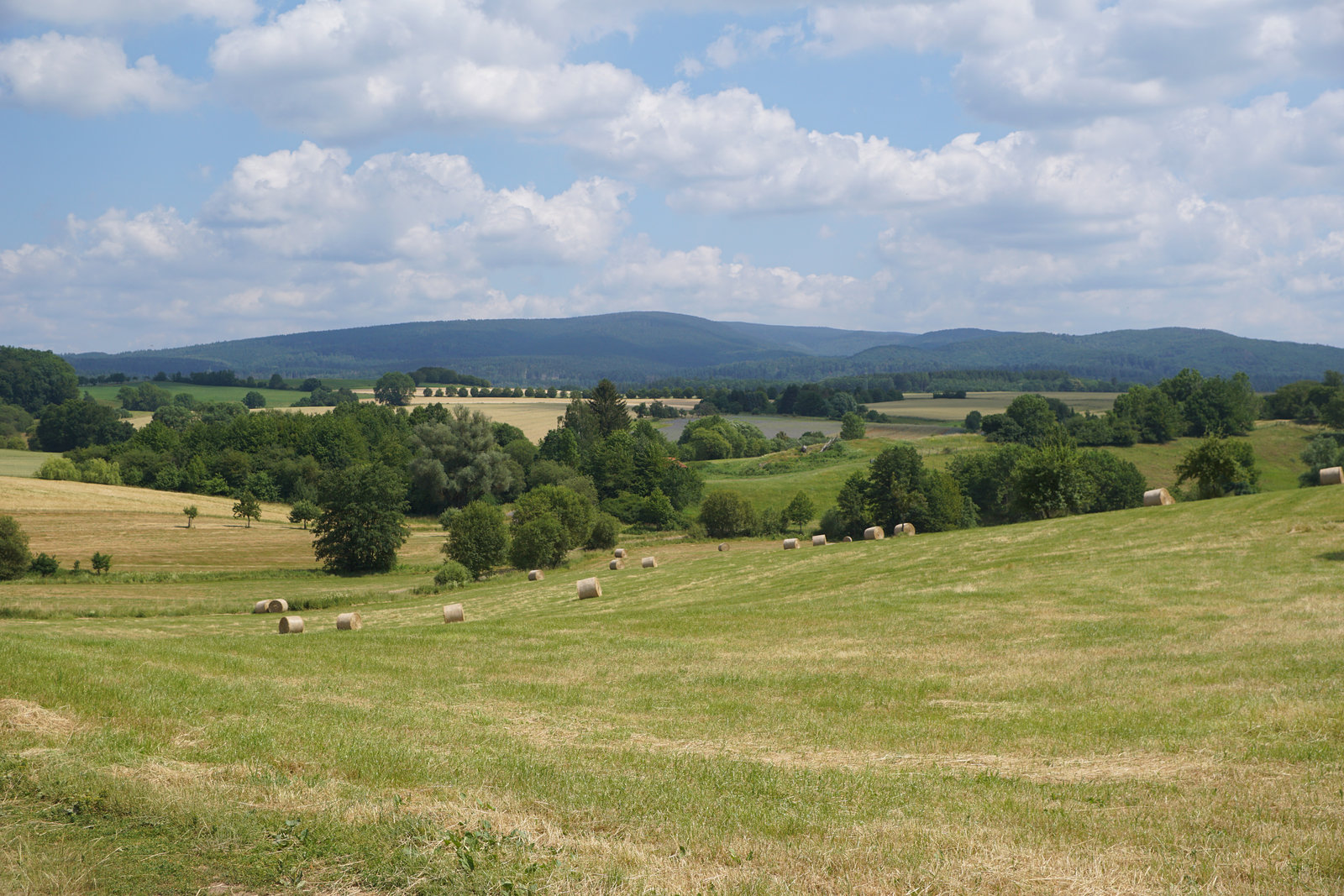 Blick zum Harz
