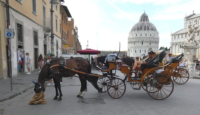 Pisa- Cathedral Square