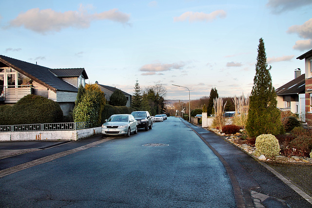 Winzermarkstraße (Hattingen-Niederbonsfeld) / 25.02.2024