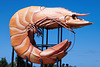 The Big Prawn