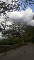 Santiago de Cuba..... hoy