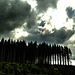 20250609_Wanderung Sorge - Benneckenstein