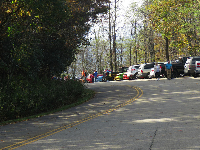 Rainbow of Classic Cars ..