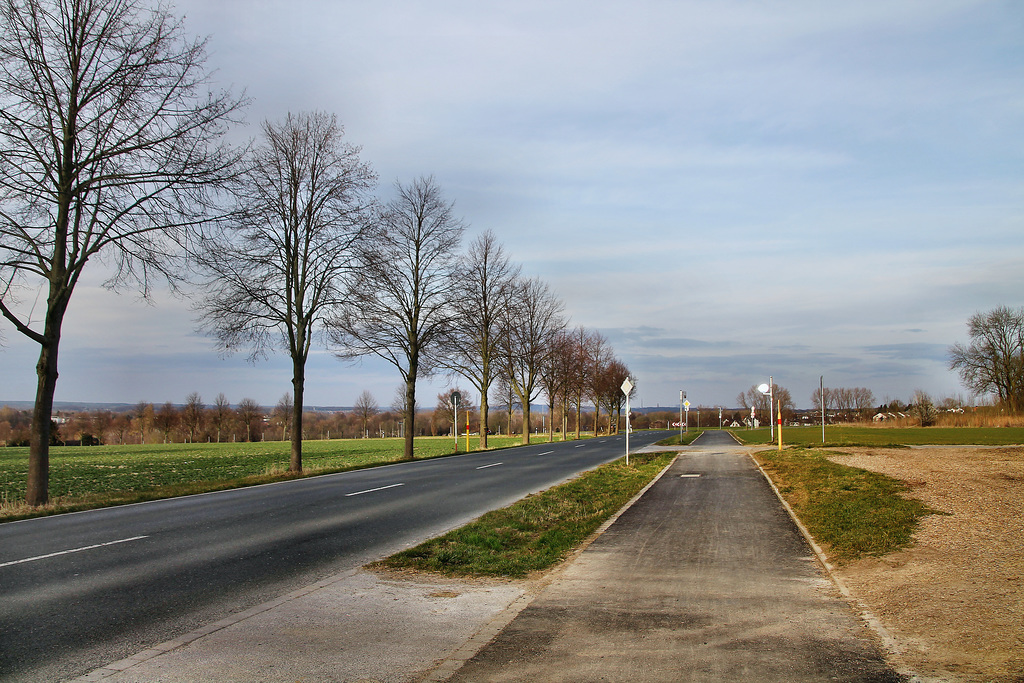 Rote Fuhr (Dortmund-Lanstrop) / 12.03.2022