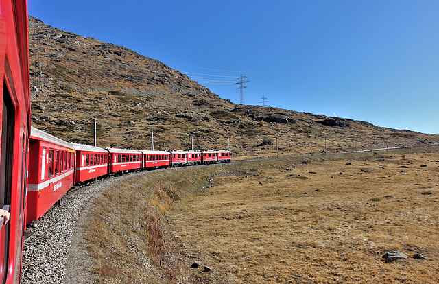 Bernina