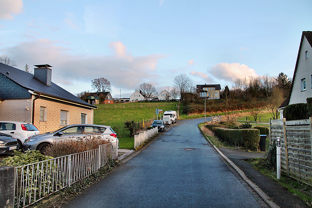 Langes Feld (Hattingen-Niederbonsfeld) / 25.02.2024