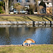 Gans schön sonnig!