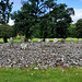 Temple Wood Stone Circles