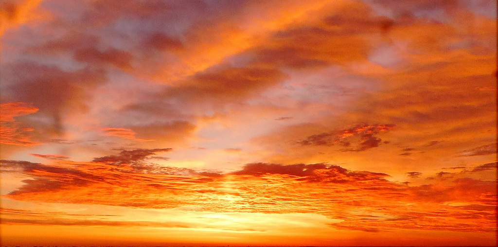 matin vitaminé !