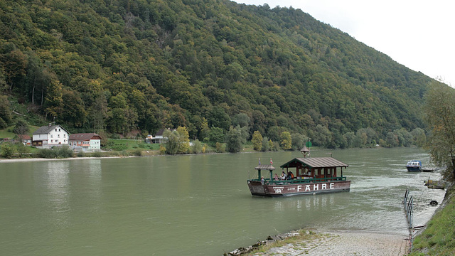 Donaufähre bei Engelhartszell