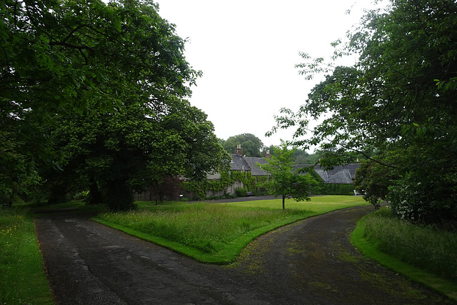 Approaching The Geilston Garden