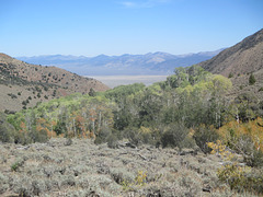 Mt-Jefferson 33