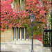 street lamp in autumn