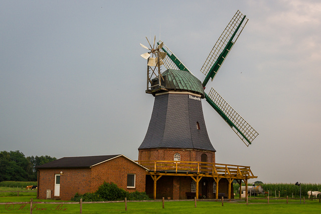 2015-08.14. - Selsingen- Muehle Elisabeth