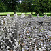 Temple Wood Stone Circles