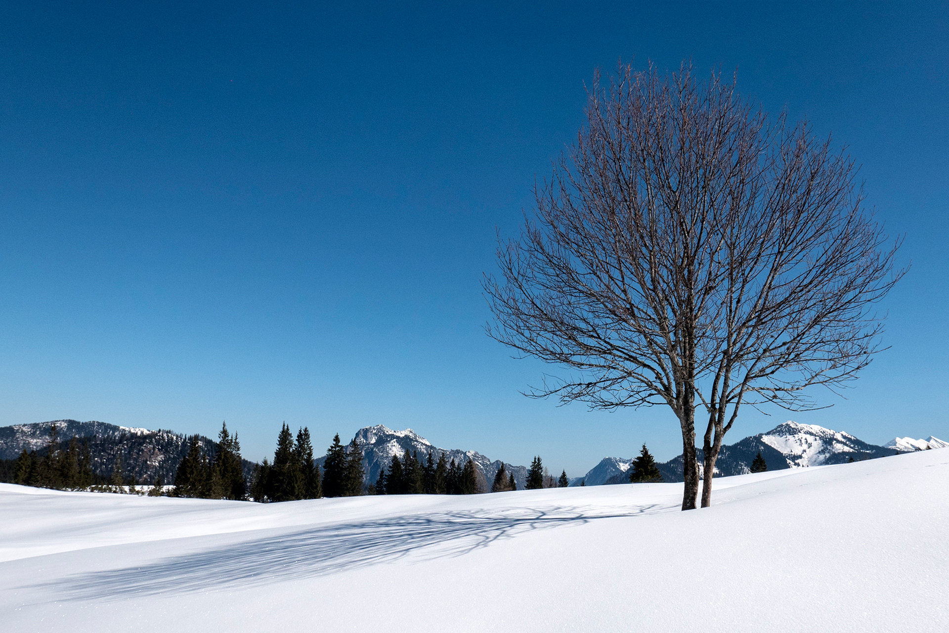 Under the Blue Sky