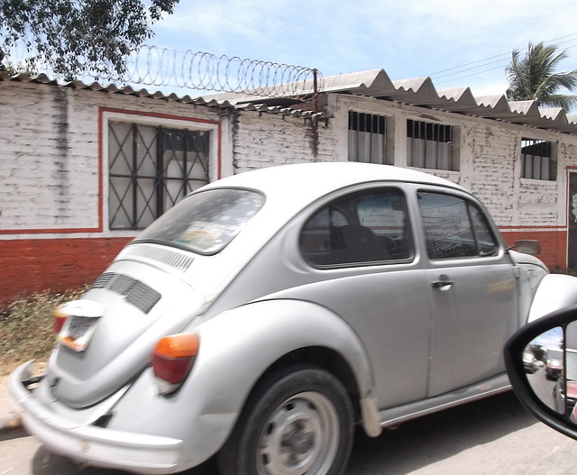 VW et barbelées en passant / Coccinelle con alambre de espino