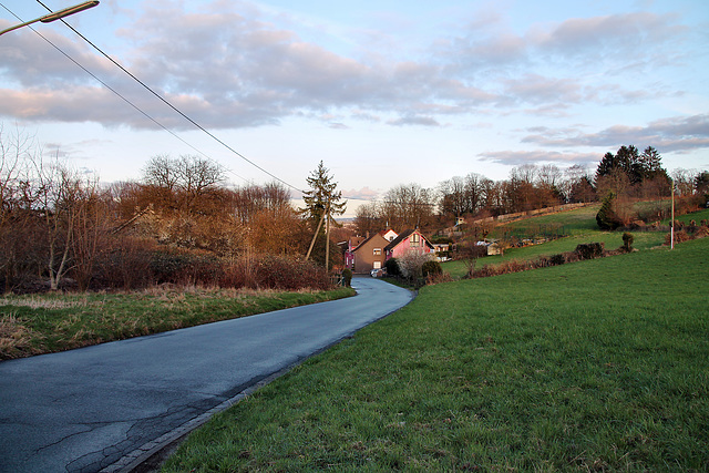 Tippelstraße (Hattingen-Niederbonsfeld) / 25.02.2024