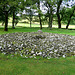 Temple Wood Stone Circles