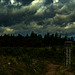 20250609_Wanderung Sorge - Benneckenstein