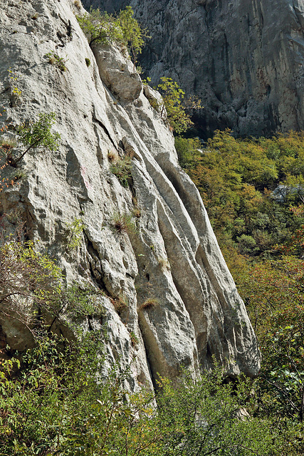 Nationalpark Paklenica - Felswand am Wegesrand