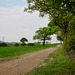 Eastern side of Park Coppice