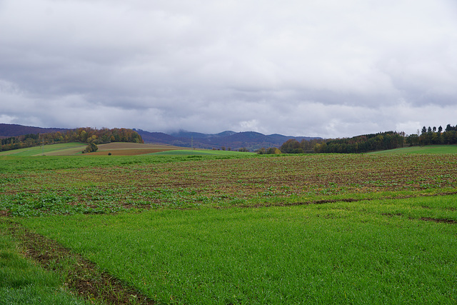 Über die Felder zum Harz