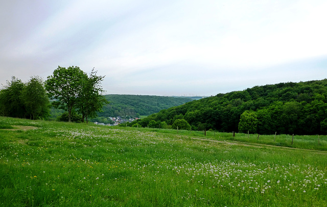 Auf dem Wanderweg Nr. 8