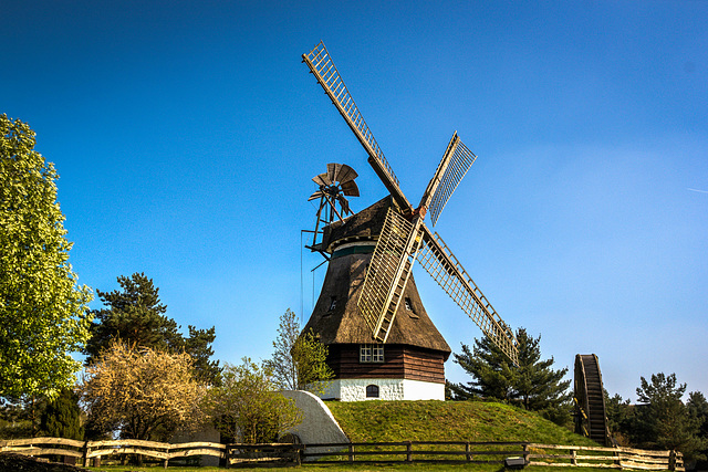 2017-04.09. - Gifhorn - Mühlenmuseum, Kellerholländer aus Dithmarschen