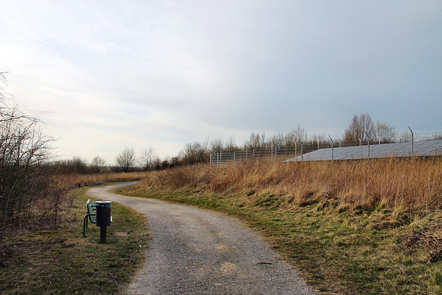 Weg neben der Solaranlage (Halde Grevel, Dortmund-Grevel) / 12.03.2022