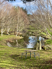 A seat in the sunshine