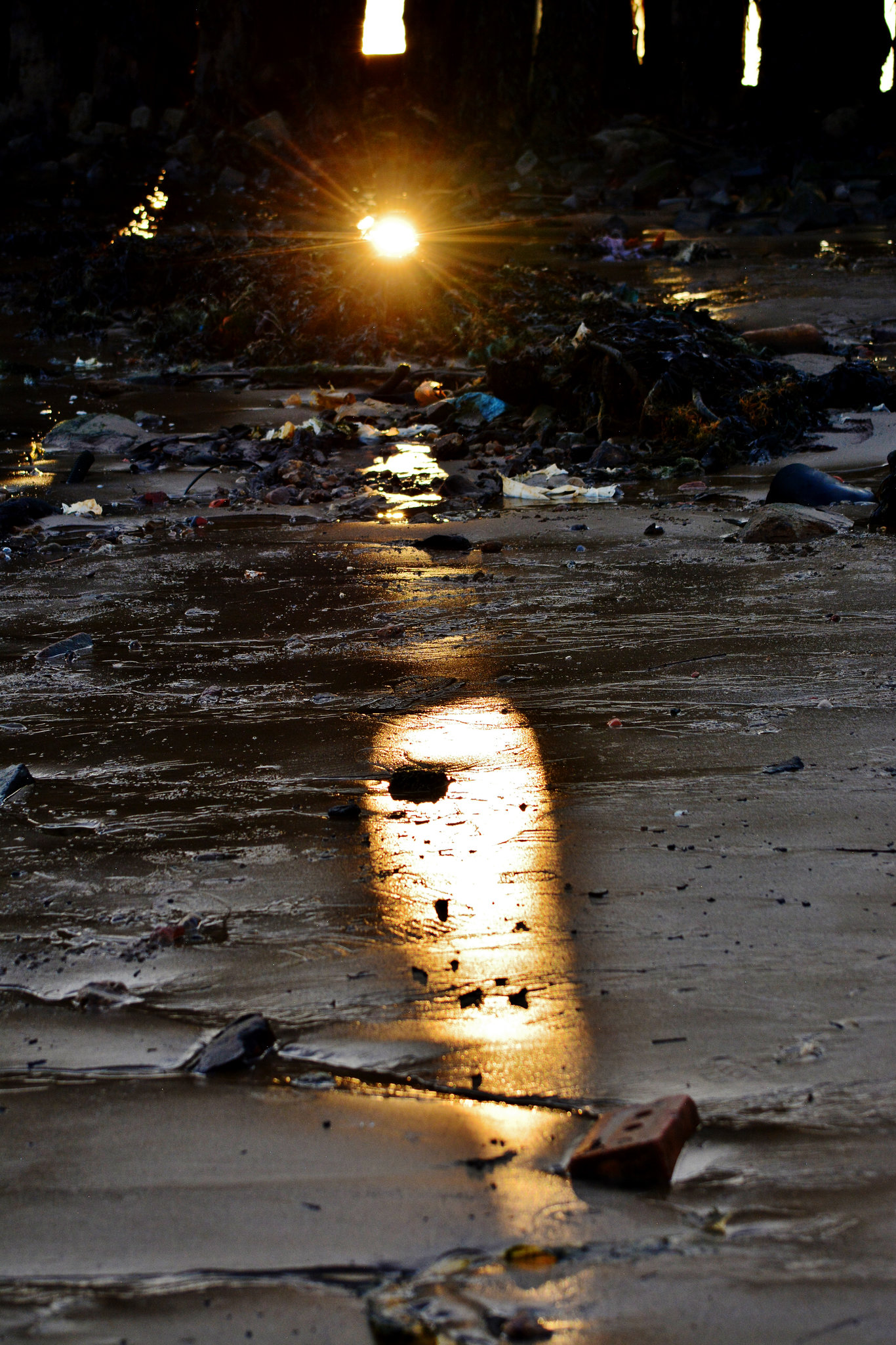 Beached sunbeam!